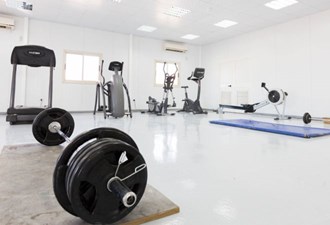 Sukari - Gym - 2017